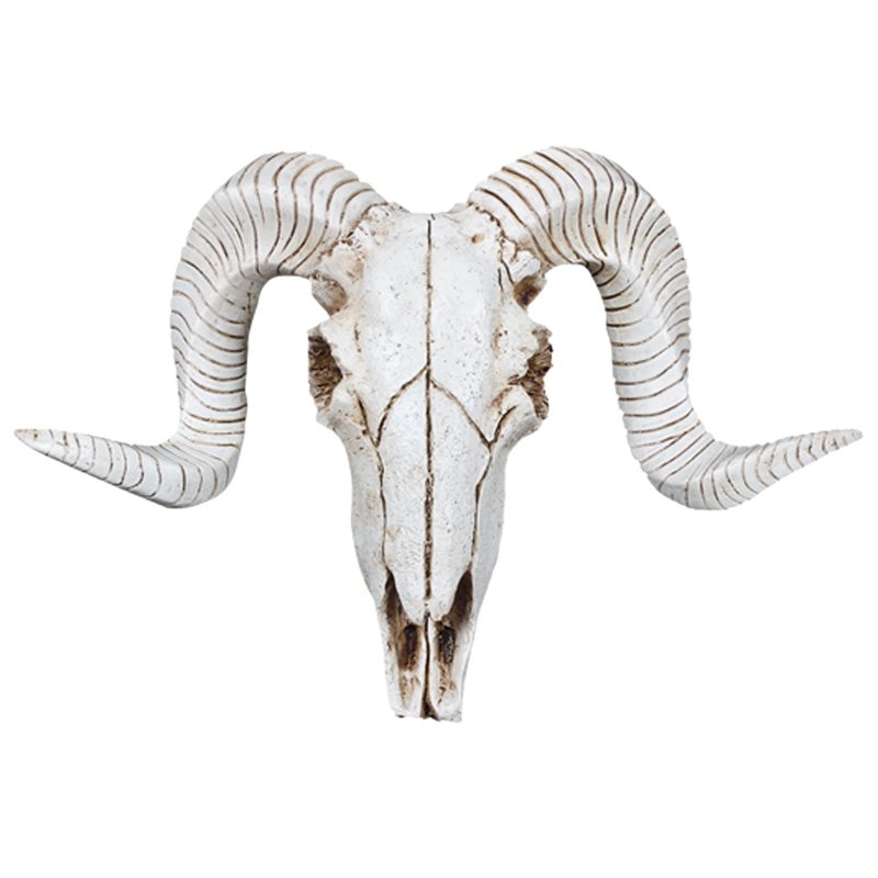 【フラッシュディール】10X クリエイティブ樹脂羊の頭蓋骨壁 - Home Decor Deals のレビューと価格