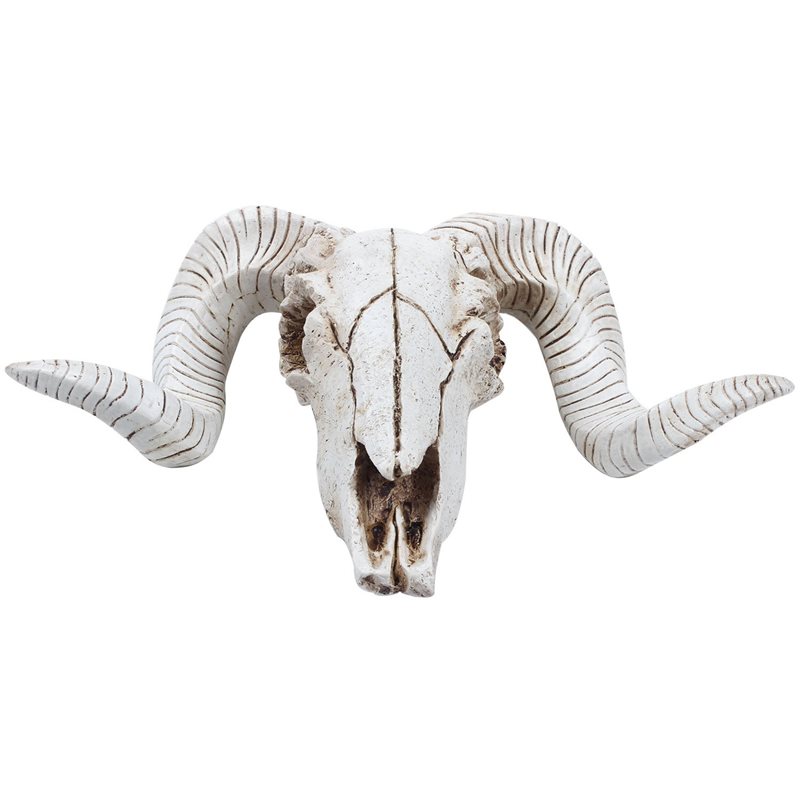 【フラッシュディール】10X クリエイティブ樹脂羊の頭蓋骨壁 - Home Decor Deals のレビューと価格