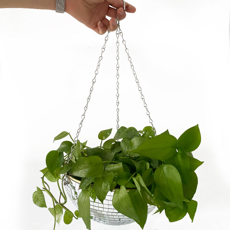 ディスコミラーボールハンギングフラワーポット、多肉植物鉢、室 - Woven Wall Basket のレビューと価格